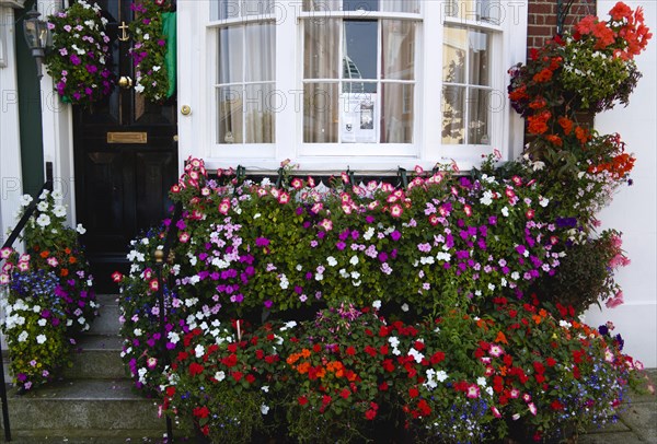 House in Old Portsmouth with a flower display of window boxes and hanging baskets celebrating the City win in the Britain In Bloom competition. Photo: Paul Seheult