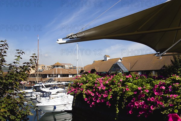 Port Solent Boats moored in the marina with people sitting at restaurant tables beyond beside a pub and housing apartments. Photo: Paul Seheult