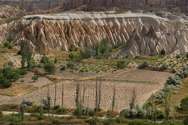 View across Rose Valley in foreground towards Red Valley behind. Cultivated land and eroded peaks of volcanic tufa rock formations. Photo : Hugh Rooney