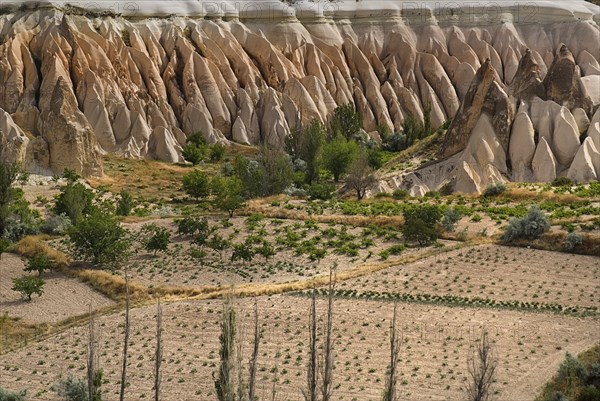 View across Rose Valley in foreground towards Red Valley behind. Cultivated land and eroded peaks of volcanic tufa rock formations. Photo: Hugh Rooney