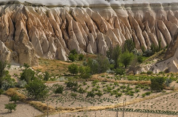 View across Rose Valley in foreground towards Red Valley behind. Cultivated land and eroded peaks of volcanic tufa rock formations. Photo: Hugh Rooney