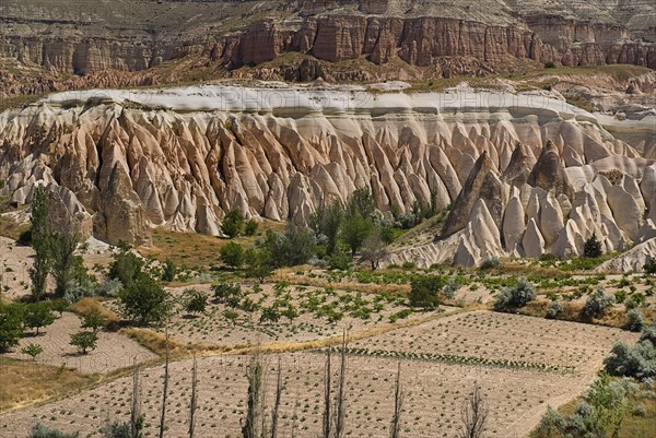 View across Rose Valley in foreground towards Red Valley behind. Cultivated land and eroded peaks of volcanic tufa rock formations. Photo : Hugh Rooney