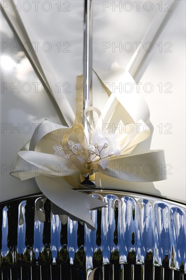 Cream ribbon tied in bow on bonnet of vintage white Daimler wedding car. Photo : Paul Seheult