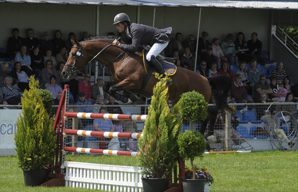 Show jumping event at the Royal Highland Showground. Photo : Steve Lindridge