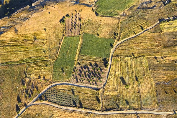 Aerial view over landscape and field patterns and branching road from hot air balloon. Photo : Hugh Rooney