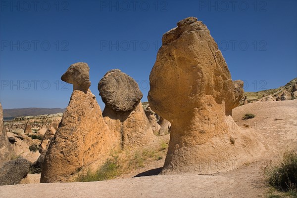 The Camel rock formation in Devrent Valley also known as Imaginery Valley or Pink Valley. Photo : Hugh Rooney