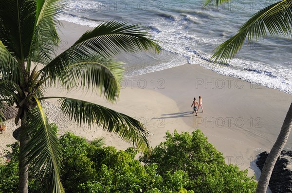 Mexico, Guerrero, Zihuatanejo, View through palm trees onto Playa la Ropa sandy beach. 
Photo : Nick Bonetti