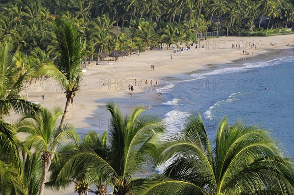 Mexico, Guerrero, Zihuatanejo, View over lush green palm trees onto Playa la Ropa sandy beach. 
Photo : Nick Bonetti
