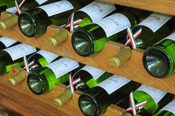 Mexico, Bajio, Zacatecas, Display of Zacatecas wine bottles. 
Photo : Nick Bonetti