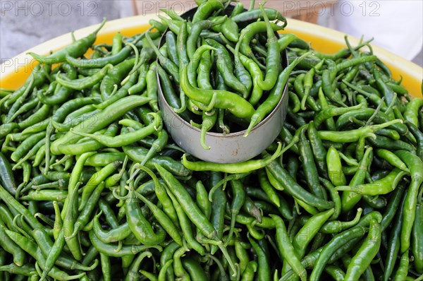 Mexico, Veracruz, Papantla, Green chillies for sale in the market. 
Photo : Nick Bonetti