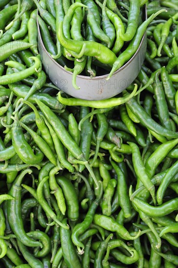 Mexico, Veracruz, Papantla, Green chillies for sale in the market. 
Photo : Nick Bonetti