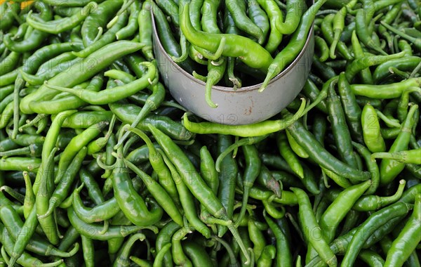 Mexico, Veracruz, Papantla, Green chillies for sale in the market. 
Photo : Nick Bonetti