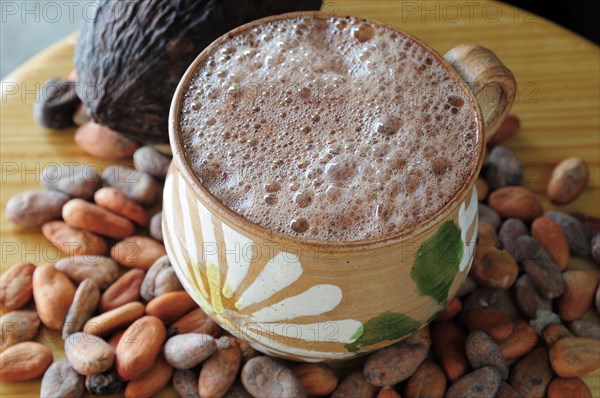 Mexico, Oaxaca, Chocolate caliente hot chocolate in painted cup with cocoa beans and pod. 
Photo : Nick Bonetti