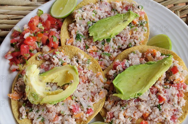 Mexico, Jalisco, Puerto Vallarta, Fish ceviche served with tacos avocado and tomato salsa. 
Photo : Nick Bonetti