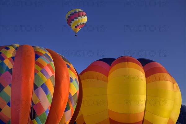 USA, New Mexico, Albuquerque, Annual balloon fiesta colourful hot air balloons in flight. 
Photo : Hugh Rooney