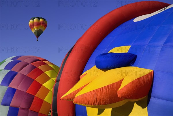 USA, New Mexico, Albuquerque, Annual balloon fiesta colourful hot air balloons. 
Photo : Hugh Rooney