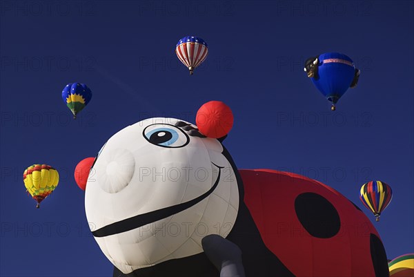 USA, New Mexico, Albuquerque, Annual balloon fiesta colourful hot air balloons. Part view of balloon shaped in the form of a ladybird in the foreground. 
Photo : Hugh Rooney