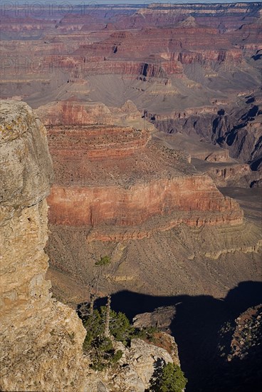 USA, Arizona, Grand Canyon, South Rim view from Yavapai Point. 
Photo : Hugh Rooney