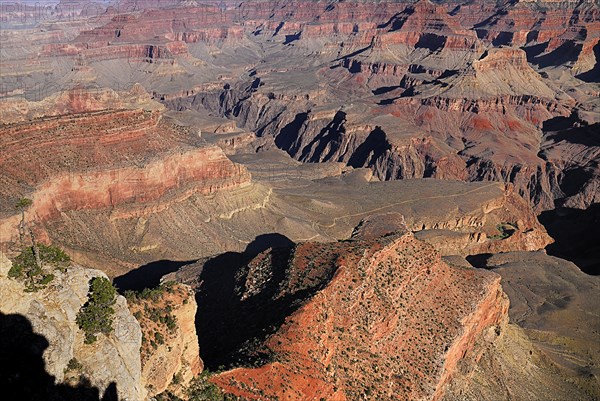 USA, Arizona, Grand Canyon, South Rim view from Yavapai Point. 
Photo : Hugh Rooney