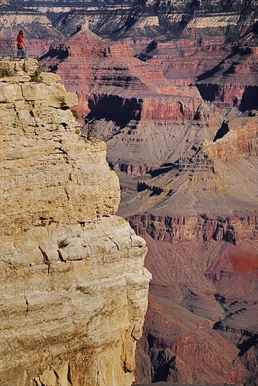 USA, Arizona, Grand Canyon, South Rim view from Yavapai Point. 
Photo : Hugh Rooney