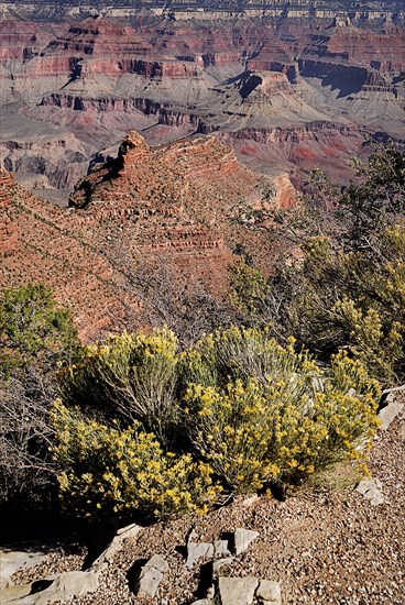 USA, Arizona, Grand Canyon, South Rim view from Yavapai Point. 
Photo : Hugh Rooney