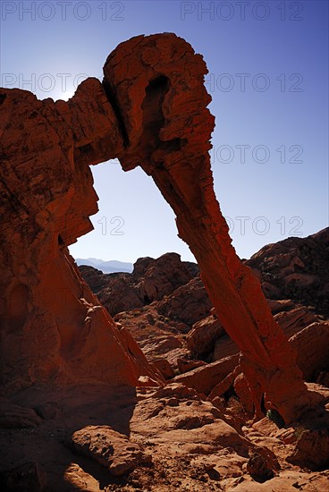 USA, Nevada, Valley of Fire State Park, Elephant shape rock formation. 
Photo : Hugh Rooney