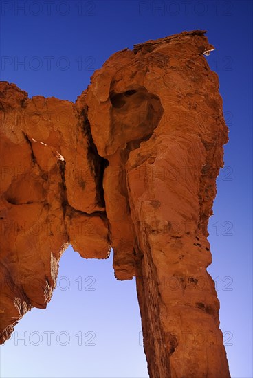 USA, Nevada, Valley of Fire State Park, Elephant shape rock formation. 
Photo : Hugh Rooney