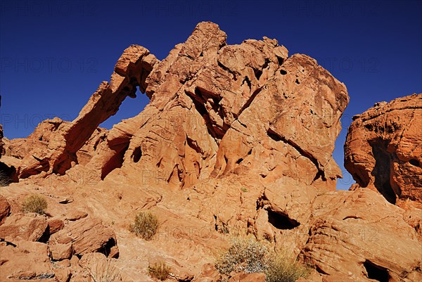 USA, Nevada, Valley of Fire State Park, Elephant shape rock formation. 
Photo : Hugh Rooney