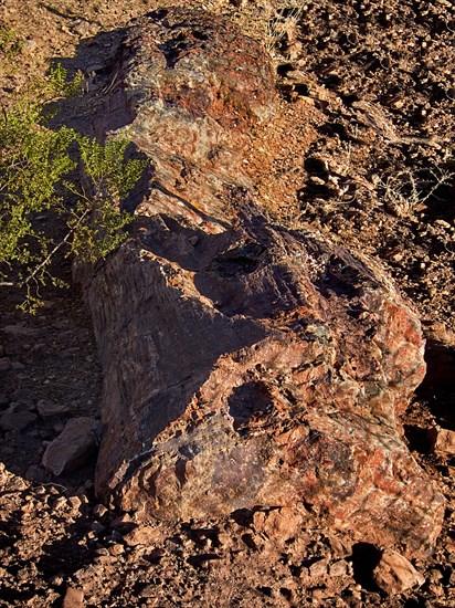 USA, Nevada, Valley of Fire State Park, Rock formations from above. 
Photo : Hugh Rooney