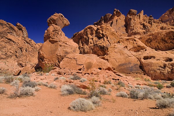 USA, Nevada, Valley of Fire State Park, Rock formations. 
Photo : Hugh Rooney