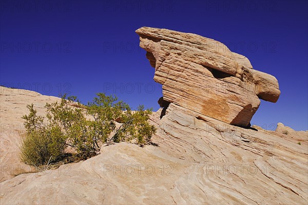 USA, Nevada, Valley of Fire State Park, Rock formations. 
Photo : Hugh Rooney