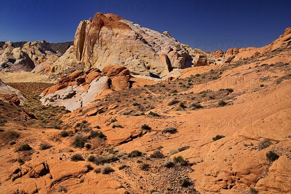 USA, Nevada, Valley of Fire State Park, Rock formations. 
Photo : Hugh Rooney