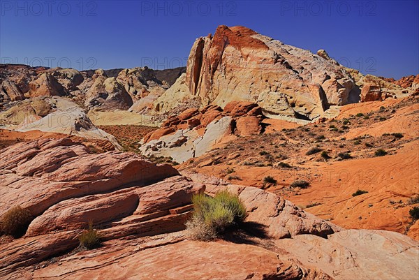 USA, Nevada, Valley of Fire State Park, Rock formations. 
Photo : Hugh Rooney