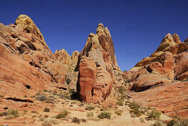 USA, Nevada, Valley of Fire State Park, Detail of rock faces. 
Photo : Hugh Rooney