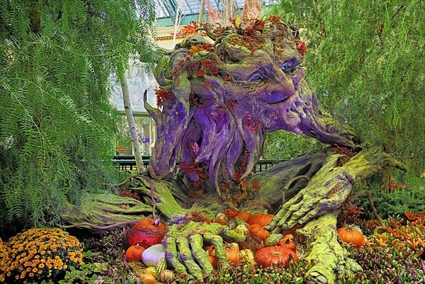 USA, Nevada, Las Vegas, The Strip colourful display in the botanical gardens of the Bellagio hotel. 
Photo : Hugh Rooney