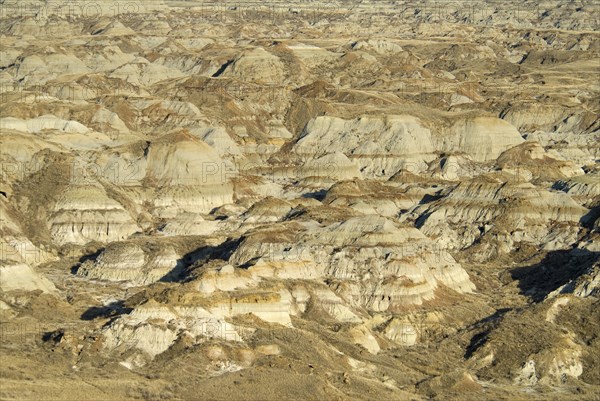 Canada, Alberta, Badlands, Dinosaur Provincial Park near Brooks UNESCO World Heritage Site is one of the most important fossil beds in the world much of the park is a Natural Preserve and is off limits to unguided visitors. 
Photo : Trevor Page