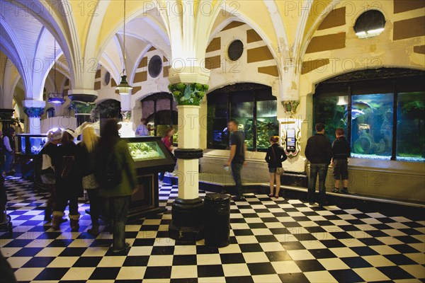 England, East Sussex, Brighton, Interior of the Sea Life Centre underground Aquarium on the seafront. 
Photo : Stephen Rafferty