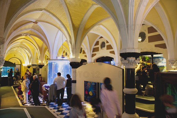 England, East Sussex, Brighton, Interior of the Sea Life Centre underground Aquarium on the seafront. 
Photo : Stephen Rafferty