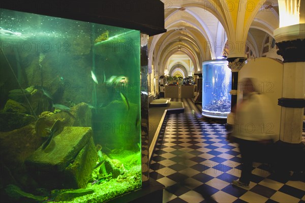 England, East Sussex, Brighton, Interior of the Sea Life Centre underground Aquarium on the seafront. 
Photo : Stephen Rafferty