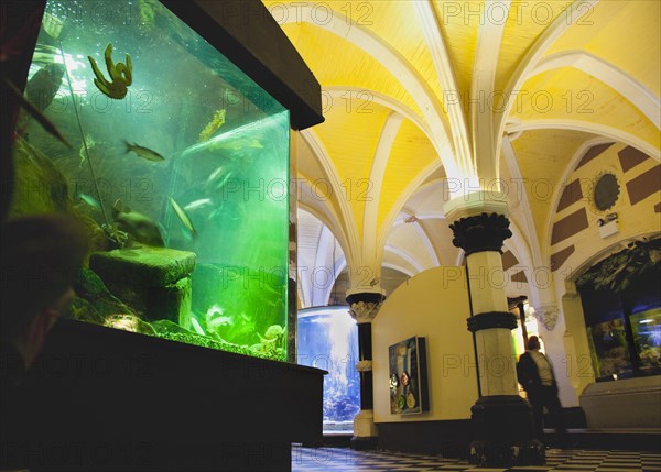 England, East Sussex, Brighton, Interior of the Sea Life Centre underground Aquarium on the seafront. 
Photo : Stephen Rafferty