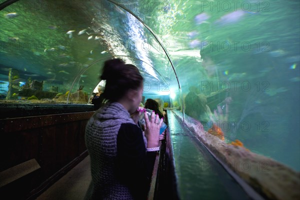 England, East Sussex, Brighton, Interior of the Sea Life Centre underground Aquarium on the seafront curved glass tunnel under water. 
Photo : Stephen Rafferty