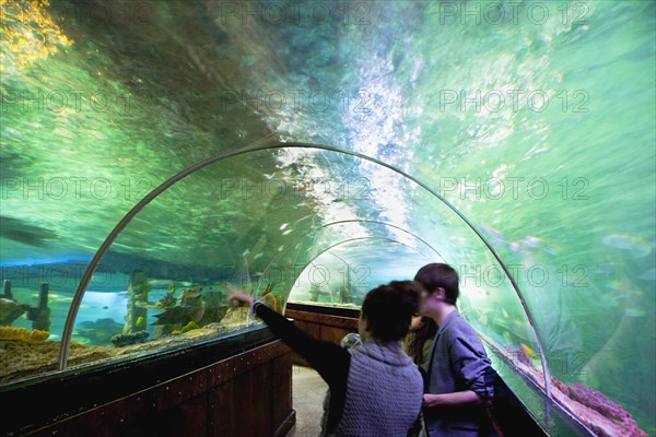 England, East Sussex, Brighton, Interior of the Sea Life Centre underground Aquarium on the seafront curved glass tunnel under water. 
Photo : Stephen Rafferty