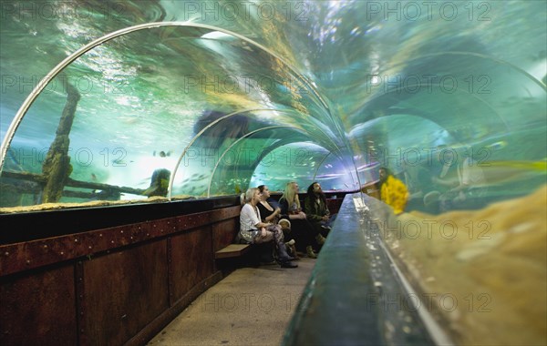 England, East Sussex, Brighton, Interior of the Sea Life Centre underground Aquarium on the seafront curved glass tunnel under water. 
Photo : Stephen Rafferty