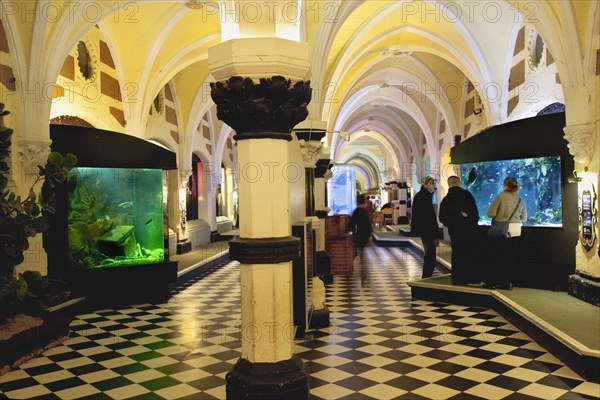 England, East Sussex, Brighton, Interior of the Sea Life Centre underground Aquarium on the seafront. 
Photo : Stephen Rafferty