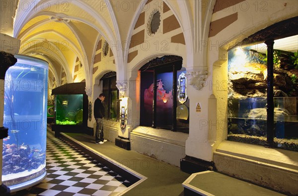 England, East Sussex, Brighton, Interior of the Sea Life Centre underground Aquarium on the seafront. 
Photo : Stephen Rafferty