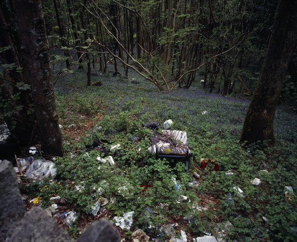 Wales, Gwynedd, Environment, Discarded household and general rubbish dumped in roadside bluebell wood near Porth Madog. 
Photo : Bryan Pickering