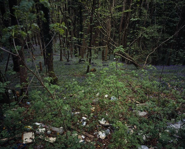 Wales, Gwynedd, Environment, Discarded household and general rubbish dumped in roadside bluebell wood near Porth Madog. 
Photo : Bryan Pickering