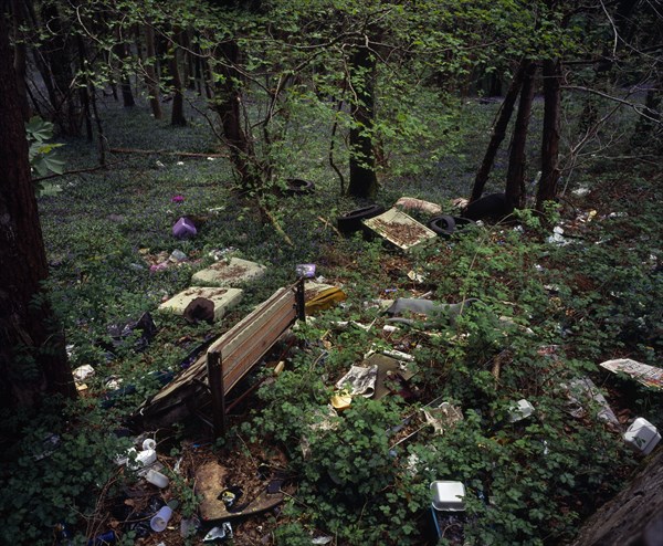 Wales, Gwynedd, Environment, Discarded household and general rubbish dumped in roadside bluebell wood near Porth Madog. 
Photo : Bryan Pickering