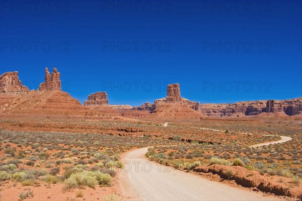 USA, Utah, Valley of the Gods, winding dirt road through the desert landscape. 
Photo : Richard Rickard