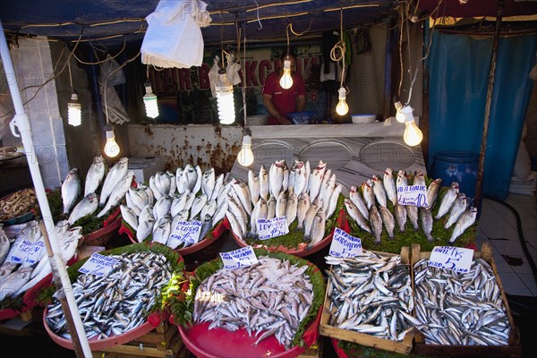 Turkey, Istanbul, Karakoy Galata fish market display of fresh catch. 
Photo : Stephen Rafferty